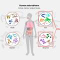 Molecular Diversity of Microbes Associated with Fermented Bamboo Shoots