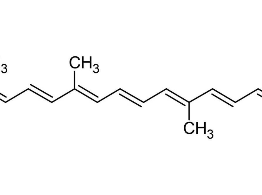 Development of a novel functional yogurt rich in lycopene by Bacillus subtilis