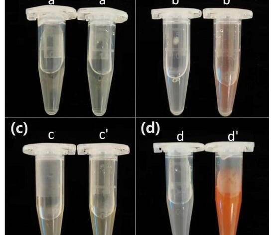 Study of selenium enrichment metabolomics in Bacillus subtilis BSN313 via transcriptome analysis