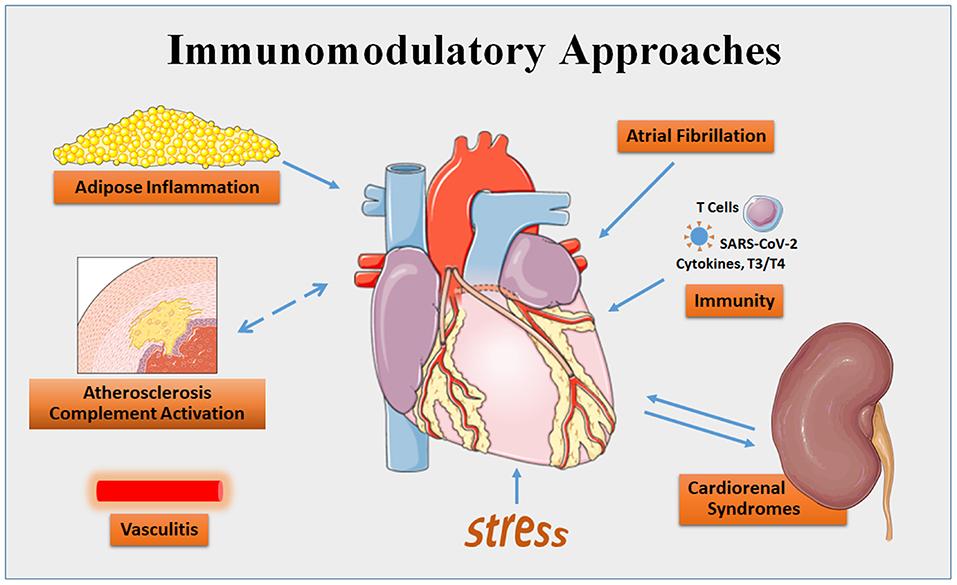 The Immunomodulatory Power of Fermented‌ Food-Derived Probiotics in ⁢Combating Environmental‍ Enteropathy